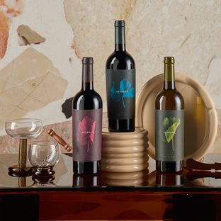 PACK VINO VEGAMAR 604