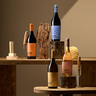 PACK VINO VEGAMAR 602