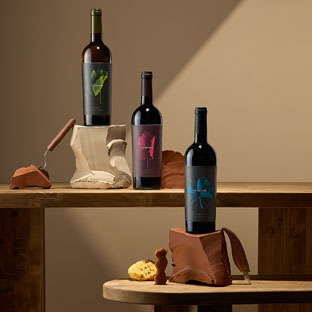 PACK VINO VEGAMAR 604